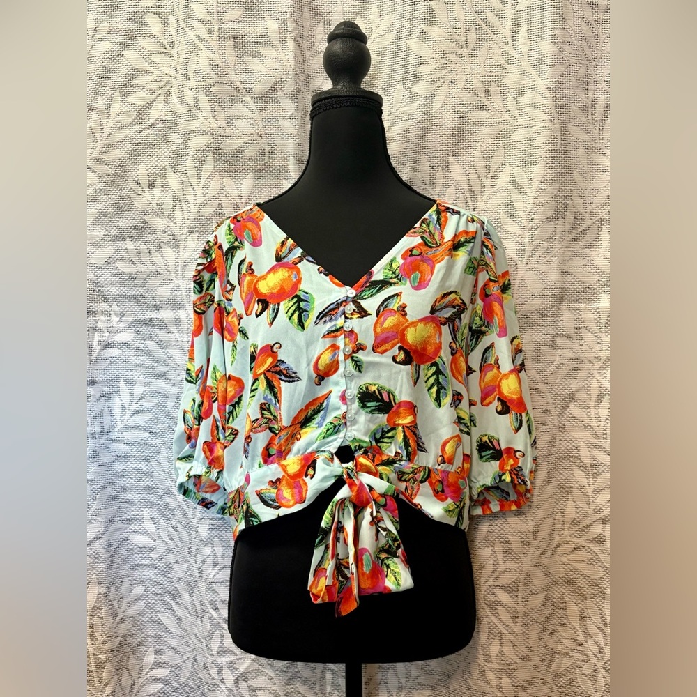 Joie Green Blue 3/4 Sleeve Crop Blouse Featuring Summer Fruit in Bright Colors
